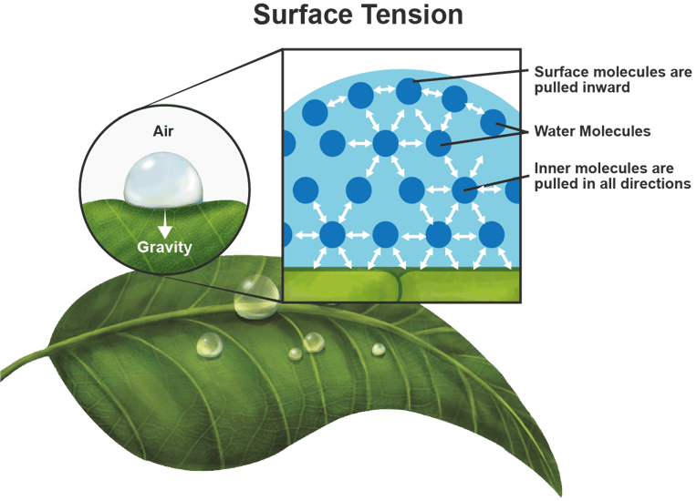 How nanobubbles improve water infiltration by reducing surface tension